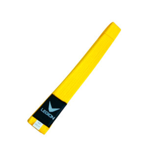 CINTURON DE KARATE
