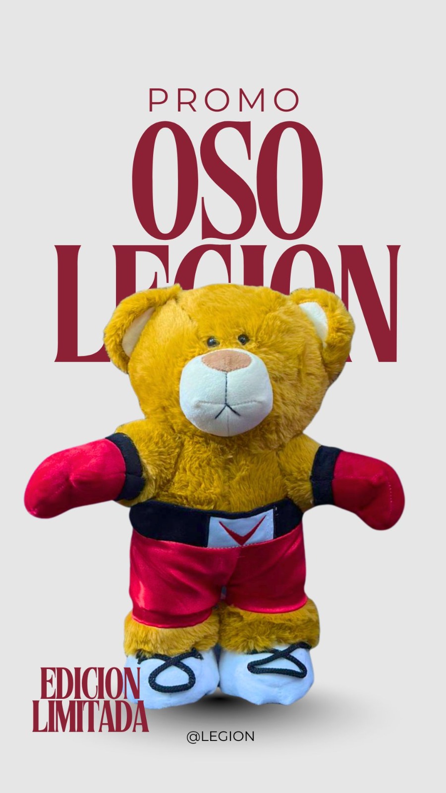 OSO BOXEADOR LEGION