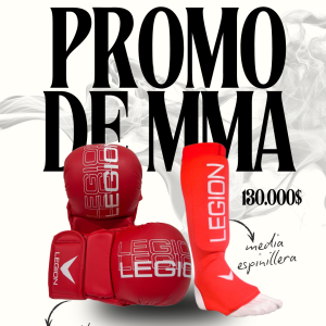 PROMO DE JUNIO MMA