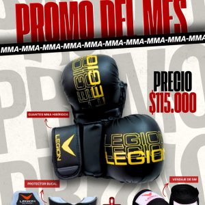 PROMO DE JULIO MMA